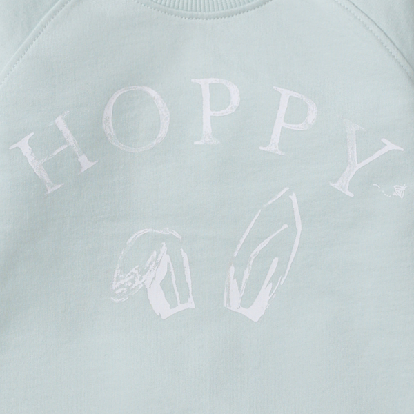 Hoppy Blue Organic Cotton Sweatshirt
