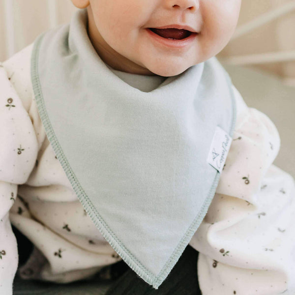 Baby Bandana Bibs - Rex