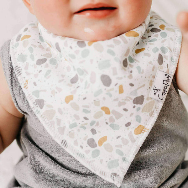 Baby Bandana Bibs - Rex