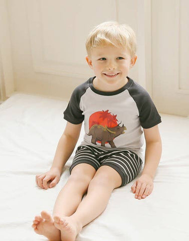 Summer Dino Short Sleeve Pajama Set