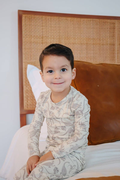 2pc Long Sleeve Pajama Set - Jurassic Park Fossils