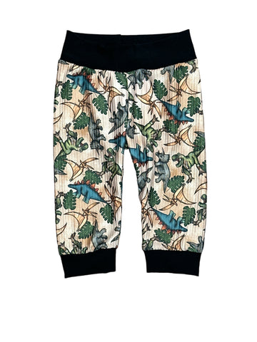 Dinosaur • infant/toddler Joggers