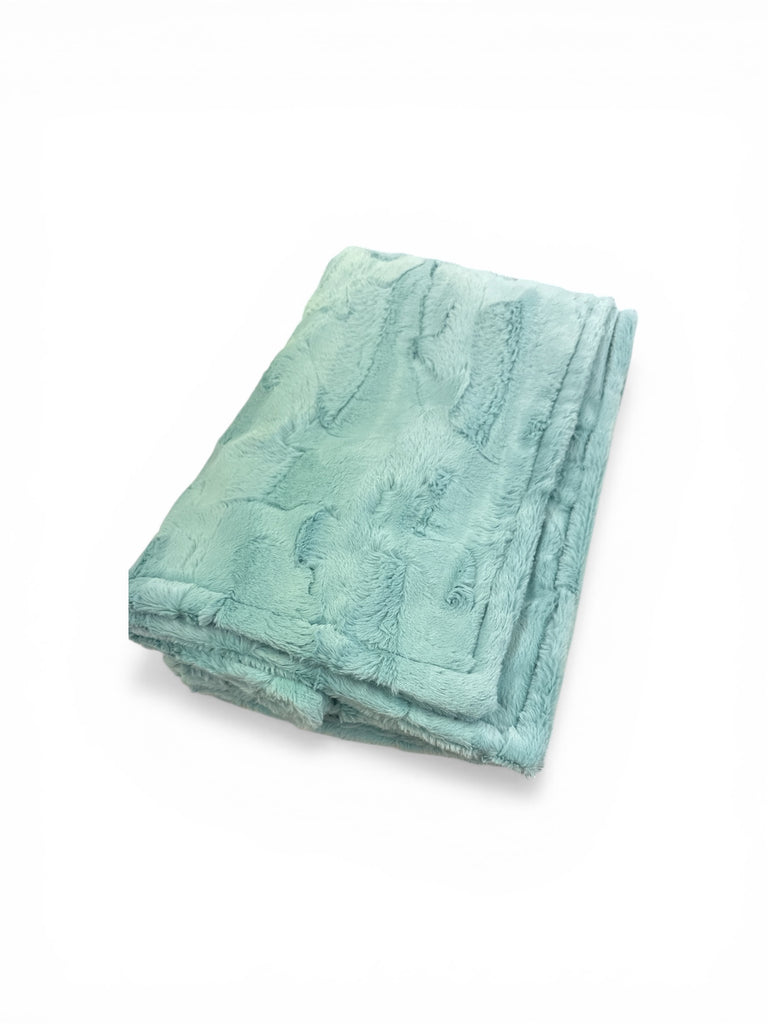 Spearmint • Baby Sized Minky Blanket