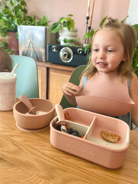 Silicone Catch Bib Set | Rosewood & Honeysuckle