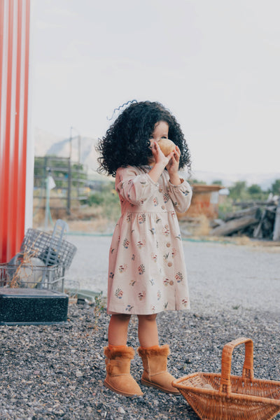 Button Down Dress- Fall Mushrooms