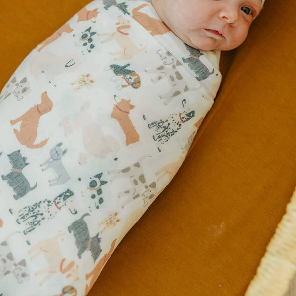 Knit Swaddle Blanket - Rufus