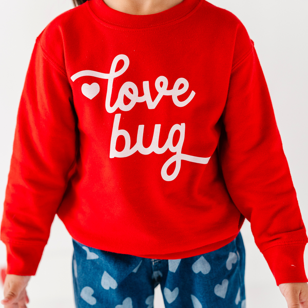 Love Bug Valentines Day Sweatshirt