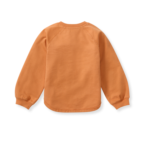Pumpkin Organic Cotton Sweatshirt