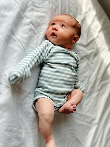 Dusty Blue Stripe / Organic Ribbed Long Sleeve Bodysuit